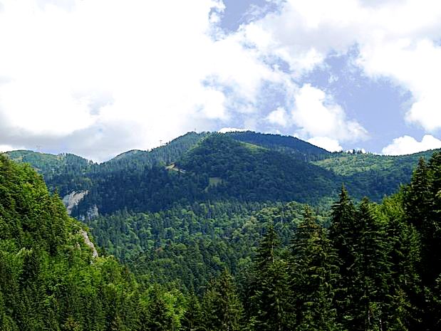 Poiana Brasov